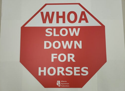 Please Wear Your Helmet – Alberta Equestrian Federation