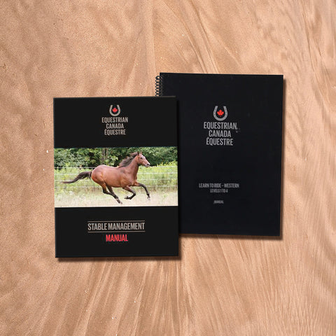 Western Rider Handbooks Levels 1-4 and Stable Management Pack