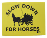 Slow Down For Horses - Driving