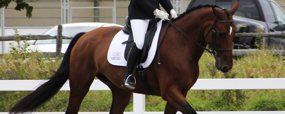 Alberta Equestrian Federation | Ride With Passion